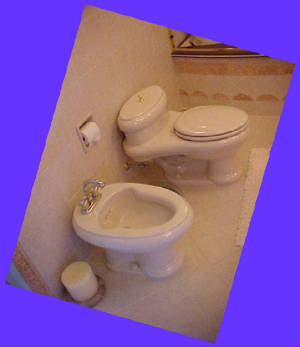 20bidet.jpg